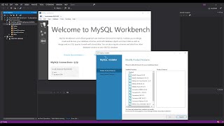 MySQL Database for Visual Studio  Getting Started [upl. by Ainedrag]