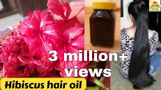 MANDARA TAILAM  DIY HIBISCUS HAIR OIL  మంధార తైలం MANA ILLU [upl. by Wilmott]