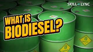 What is BIODIESEL  SkillLync [upl. by Gregorius]