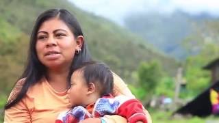 Documental Indígenas Uwa Colombia  Guardianes de la Madre Tierra [upl. by Arrakat]