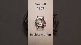 Seagull 1963 Chronograph in Slow Motion [upl. by Airasor870]