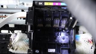 Epson WF 2850 How To Flush Printhead  No Expertise Required [upl. by Menedez]