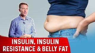 How Insulin Works – Insulin Resistance amp Belly Fat Simplified by DrBerg [upl. by Ejrog]