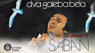 Saban Saulic  Stari kocijas  Audio 1979 [upl. by Gniw611]