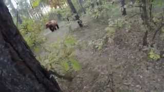 Man chased by a bear through the woods on a mountain bike 3 Peaks Cycles [upl. by Erreit]