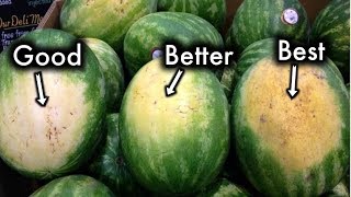 How To Pick The Sweetest Watermelon Every Single Time [upl. by Asa]