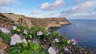 Lampedusa in 4K  Isola da sogno [upl. by Francesca]