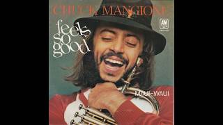 Chuck Mangione  Feels So Good Special Edited Version 1977 HQ [upl. by Esiouqrut]