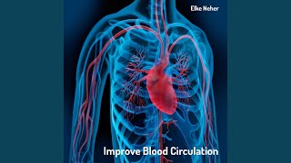 Improve Blood Circulation [upl. by Khanna]