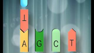 Glossario le BASI del DNA [upl. by Idahs]