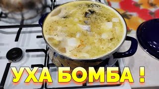 Вкусная уха из форели [upl. by Aisatnaf160]