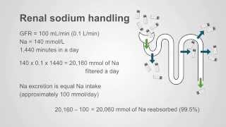 Understanding Diuretics Key Principles amp Philosophy [upl. by Peirce]