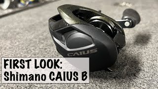 FIRST LOOK Shimano CAIUS Reel [upl. by Namyh113]