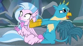 Silverstream  Gallus MLP [upl. by Standley]