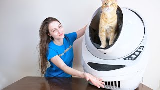 Litter Robot III Connect Review We Tested It For 2 Weeks [upl. by Nada]