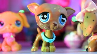 LPS Scars Film [upl. by Georges445]