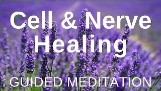 Guided HEAL Meditation  Cell and Nerve Healing Self Healing Meditation [upl. by Draneb]