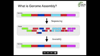 Fundamentals of Genome Assembly [upl. by Em]