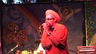 Brigadier Jerry at Sierra Nevada World Music Festival June 17 2011 whole show Village Stage [upl. by Ettezil]