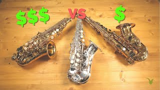 Cheap vs Expensive Curved Soprano Saxophones [upl. by Imogen81]