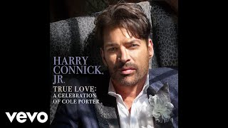 Harry Connick Jr  True Love Audio [upl. by Niassuh]