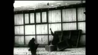 Chimpanzee Insight Kohler Study Footage [upl. by Gove401]