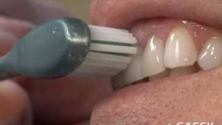 Proper Brushing [upl. by Isia]