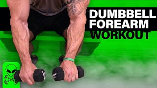 Intense 6 Minute Dumbbell Forearm Workout [upl. by Iemaj]