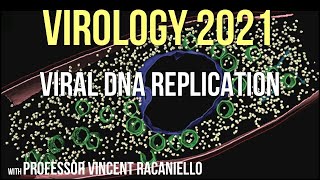 Virology Lectures 2021 8  Viral DNA Replication [upl. by Addison]