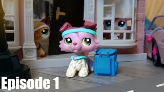 LPS The Orphan Episode 1 [upl. by Andreas]