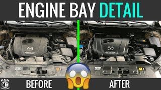 HOW TO CLEAN YOUR ENGINE BAY  EASY TUTORIAL [upl. by Tod]