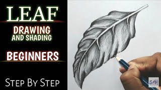 HOW TO DRAW AND SHADE A LEAF  Step By Step [upl. by Bubb564]