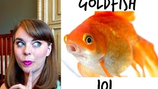 GOLDFISH 101  How To Care For A Goldfish [upl. by Sofko]