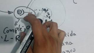 Comunicacion Intercelular Explicacion sencilla [upl. by Shiverick849]