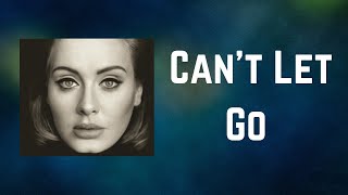 Adele  Cant Let Go Lyrics [upl. by Kass]