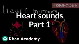 Systolic murmurs diastolic murmurs and extra heart sounds  Part 1  NCLEXRN  Khan Academy [upl. by Joni]