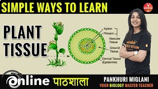 BIOLOGY  Learn Plant Tissue Concept In Just 30 Minutes  By Pankhuri [upl. by Leimad]