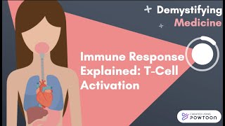 Immune Response Explained TCell Activation [upl. by Denny]