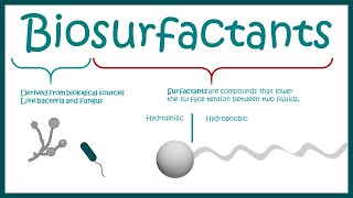 Biosurfactants and their use in human welfare [upl. by Ahsi]