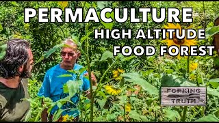 Sustainability amp Farm to Table Show  13 High Altitude Permaculture Food Forest [upl. by Nylrem365]