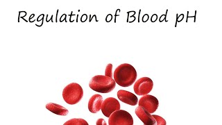 Regulation of Blood pH [upl. by Ruddie]