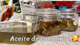 Como hacer aceite de eucalipto [upl. by Fredel550]