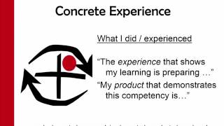 Kolb Cycle of Learning [upl. by Kornher]