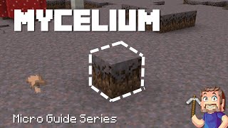 Mycelium  Minecraft Micro Guide [upl. by Los]