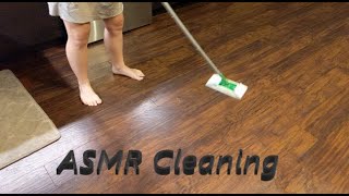 ASMR Cleaning No Talking [upl. by Diogenes]