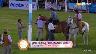 Festival de Jineteada y Folclore Diamante 2016  Jineteada categoría Crina Limpia [upl. by Toinette]