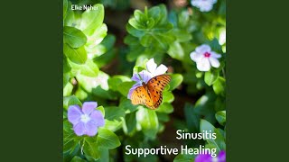 Sinusitis Supportive Healing [upl. by Hsiekal485]