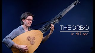 The Theorbo in 60 Seconds [upl. by Airahcaz]