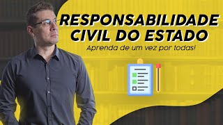 Bizu de Responsabilidade Civil do Estado  Thallius Moraes [upl. by Schilling526]