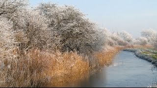 Ralph Vaughan Williams  In the Fen Country Photographs [upl. by Baggs]